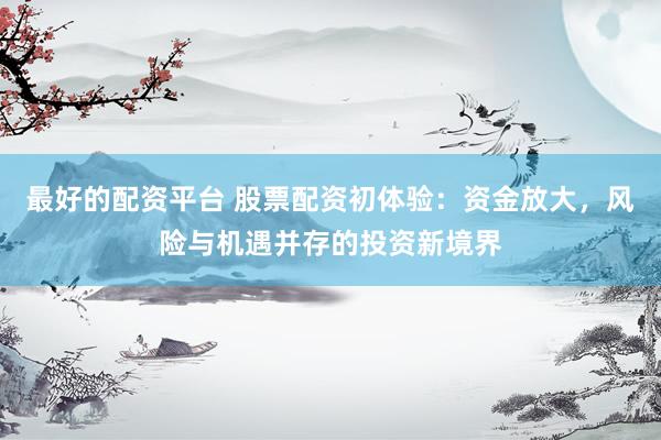 最好的配资平台 股票配资初体验：资金放大，风险与机遇并存的投资新境界