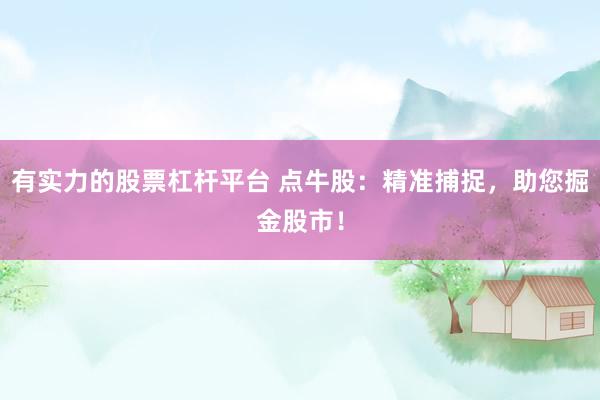 有实力的股票杠杆平台 点牛股：精准捕捉，助您掘金股市！