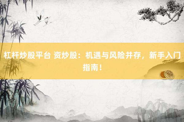 杠杆炒股平台 资炒股：机遇与风险并存，新手入门指南！