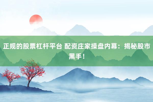 正规的股票杠杆平台 配资庄家操盘内幕：揭秘股市黑手！