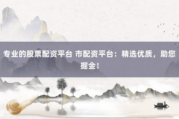 专业的股票配资平台 市配资平台：精选优质，助您掘金！