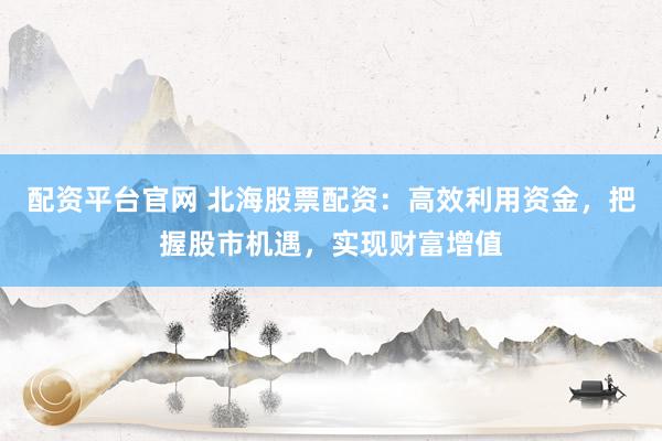 配资平台官网 北海股票配资：高效利用资金，把握股市机遇，实现财富增值