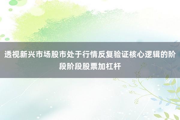 透视新兴市场股市处于行情反复验证核心逻辑的阶段阶段股票加杠杆
