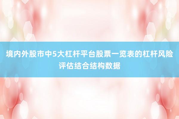 境内外股市中5大杠杆平台股票一览表的杠杆风险评估结合结构数据